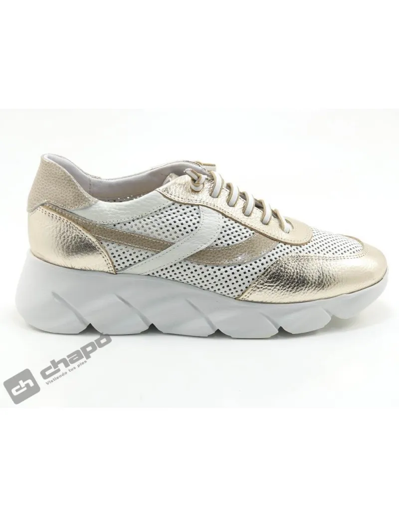 Zapatillas Deportiva Taupe 24 Horas 25992