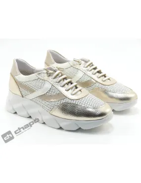 Zapatillas Deportiva Taupe 24 Horas 25992