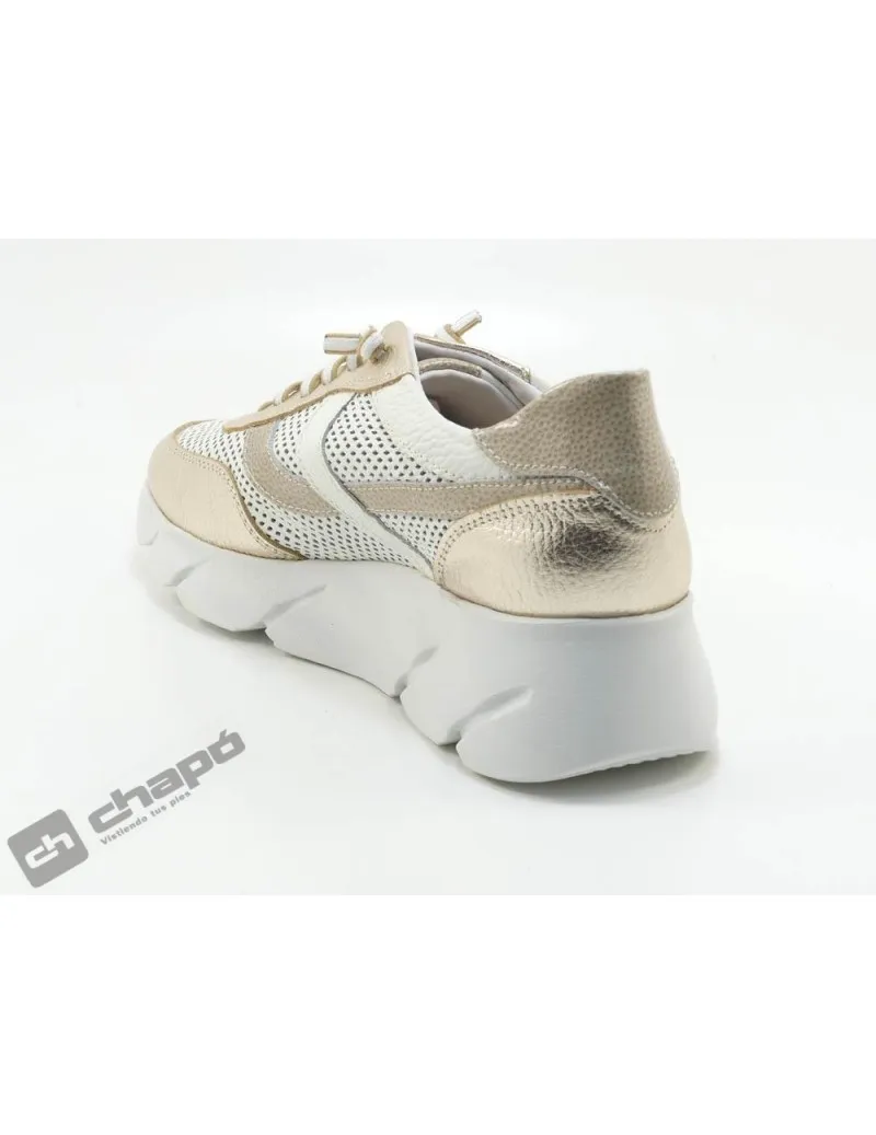 Zapatillas Deportiva Taupe 24 Horas 25992