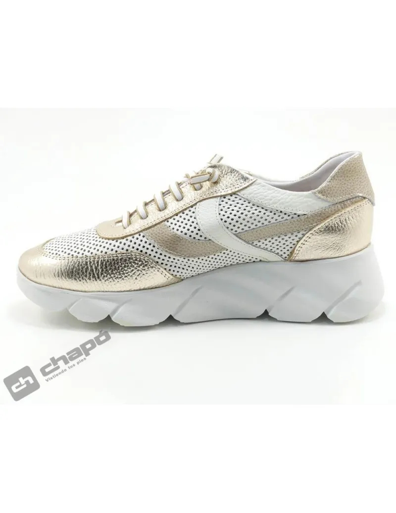 Zapatillas Deportiva Taupe 24 Horas 25992