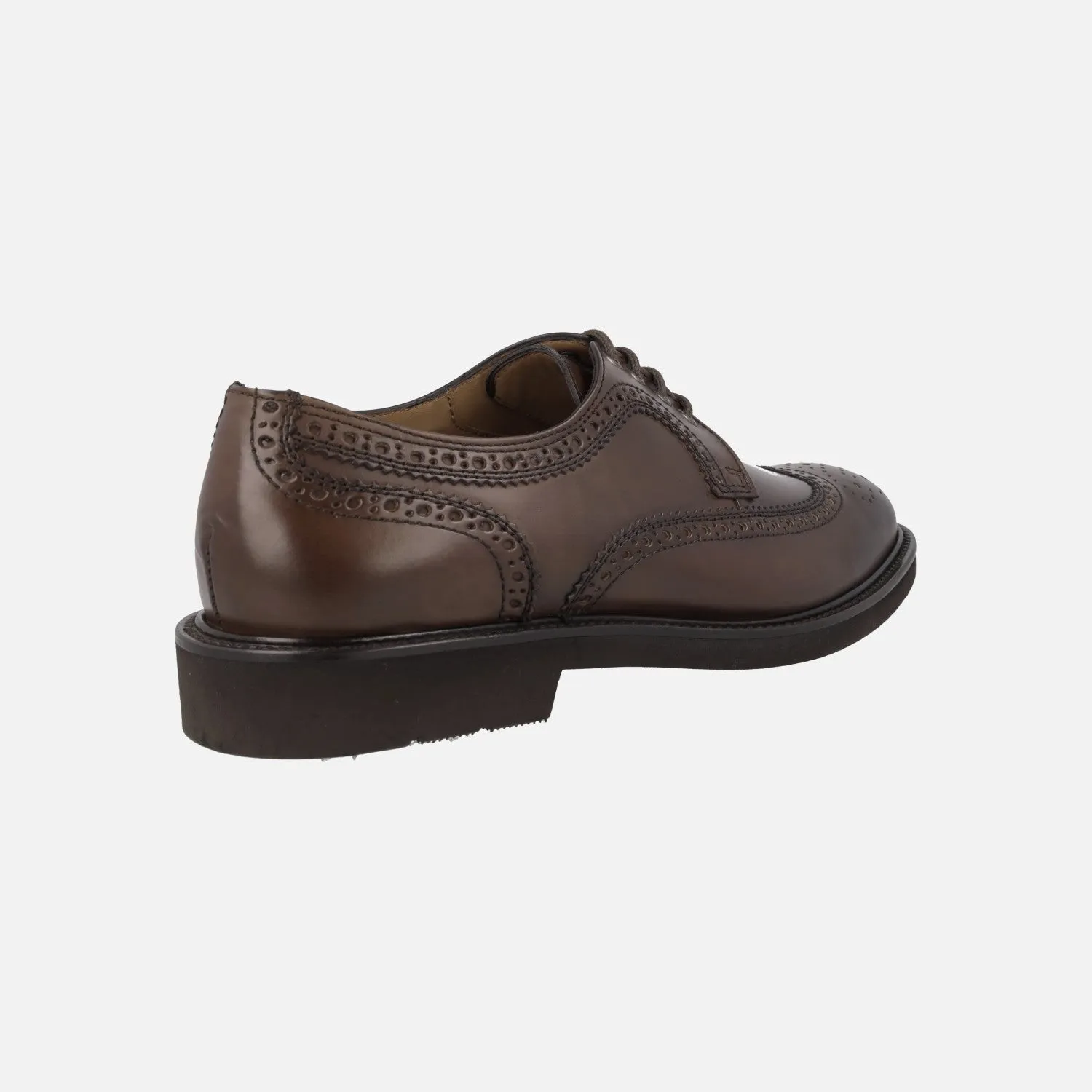 Zapatos derby pala vega Baltimore en piel marrón